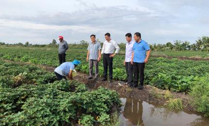 Đồng chí Thái Văn Phúc, Bí thư đảng uỷ cùng đoàn khảo sát